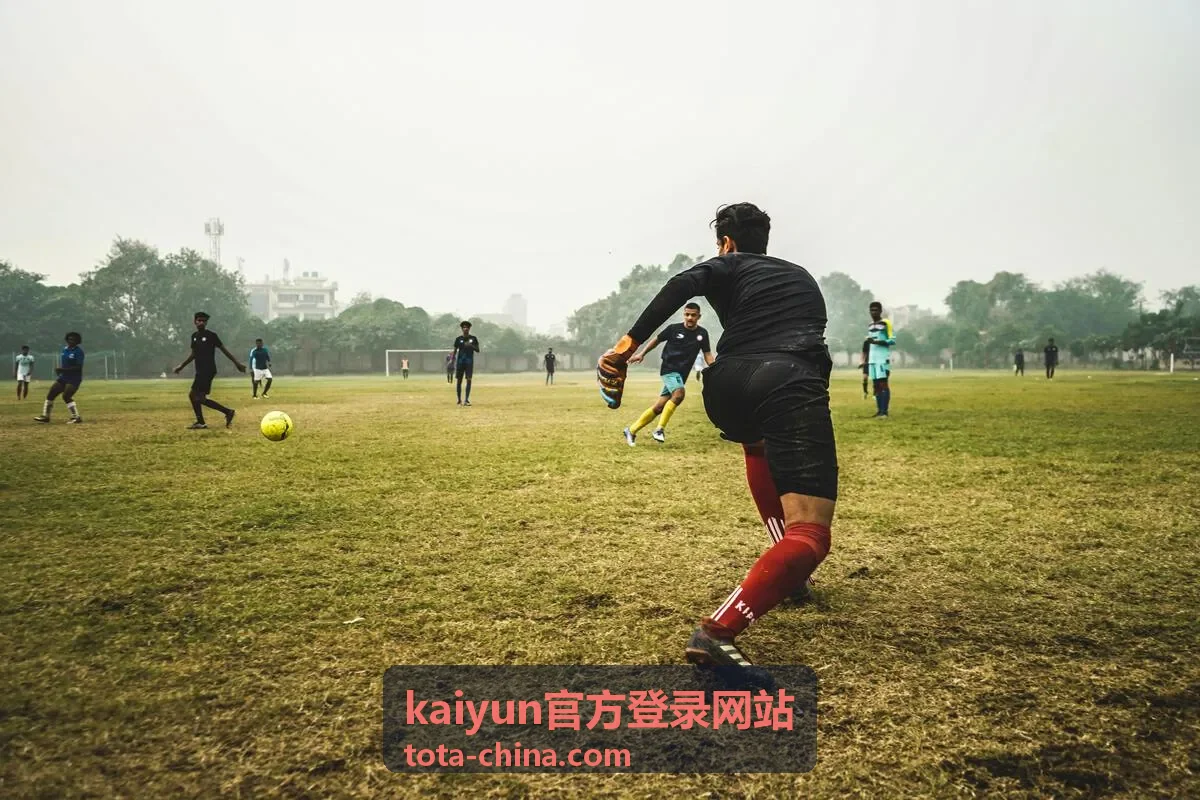 kaiyun官方登录网站账号安全与验证说明配图